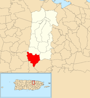 Location of Nuevo within the municipality of Bayamón shown in red