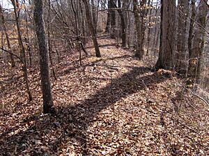 Old-stone-fort-tennessee-south-wall