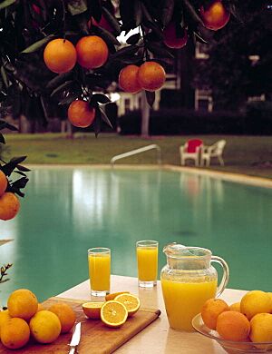 Orange juice-State beverage of Florida