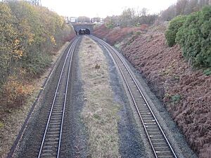 Pendlebury railway station (site), Greater Manchester (geograph 3263157)