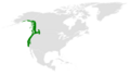 Poecile rufescens distribution map