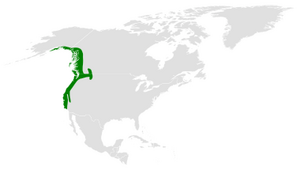 Poecile rufescens distribution map.png