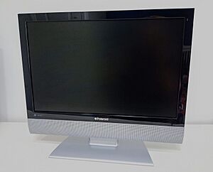 Polaroid branded TV