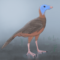 Protarchaeopteryx-swamp.png