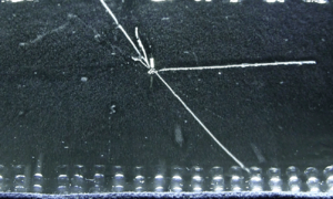Radium hands in a cloud chamber (alpha particles)