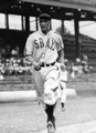 Ray Brown Homestead Grays