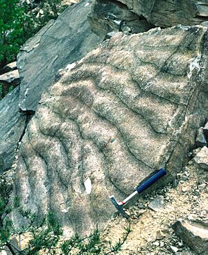 Rippelmarken Hassberge ReiKi