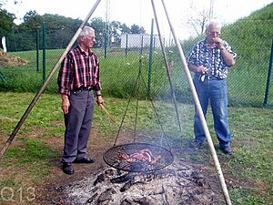Schwenker nah