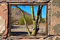 Scorpion Gulch Palo Verde