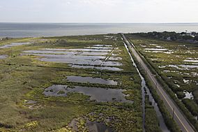 Seatuck NWR - Day 1 - Long Island National Wildlife Refuge Flyover (16646300852).jpg