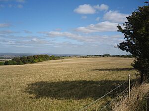 Segsbury Camp, from the Ridgeway, Oxfrodshire