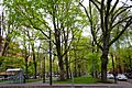 South Park Blocks