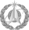 Officer service cap badge