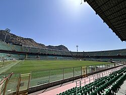 Stadio Renzo Barbera, 20 July 2024 - 02.jpg