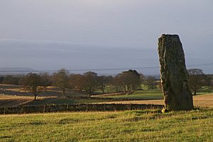Standing stone at Airlie