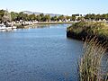 Suisun Slough as seen from Solano Yacht Club