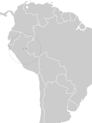 Thamnophilus divisorius map.svg