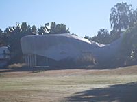 The Big Whale (Kinka Beach).jpg