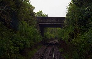 Travelling under the A4074 at Heyford Hill (geograph 2423746).jpg