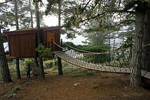 Treehouse at Treebones Big Sur