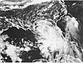 Tropical Storm Beryl (1994)