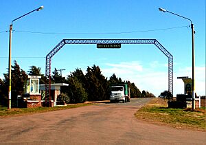 Unanue hola (cropped).jpg