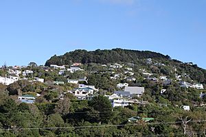 Wadestown and Te Ahumairangi Hill, looking from Ngaio