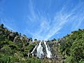 Waratah Falls2