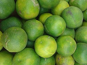 (Citrus limetta) Mosambi at a market in Seethammadhara