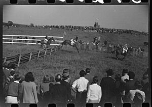 1941 VA Gold Cup Race