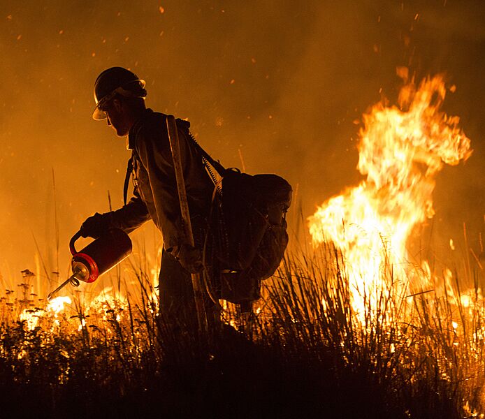 2016's Pioneer Fire, in the Boise National Forest (42399007595) (cropped)