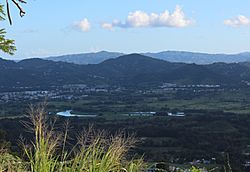 Gurabo River and valley from Jaguas.