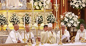 471Canonical Installation of Dennis Villarojo 24