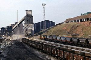 58010 Shirebrook Colliery