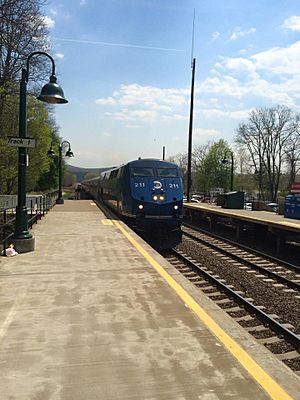 A Metro North Train at the Cold Spring train station
