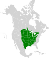 Ameiurus melas map