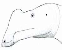 Aralosaurus LM.png