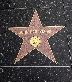 Barrymore star