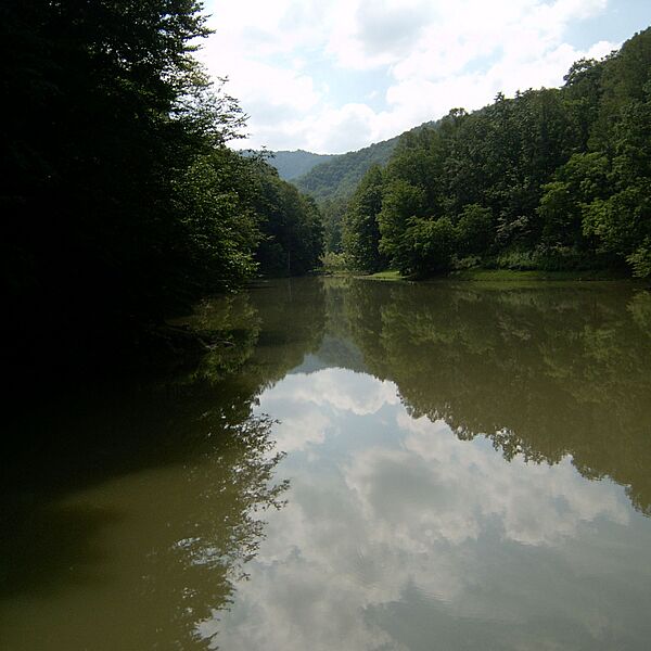 Berwind Lake WMA-square