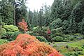 Bloedel Reserve 15