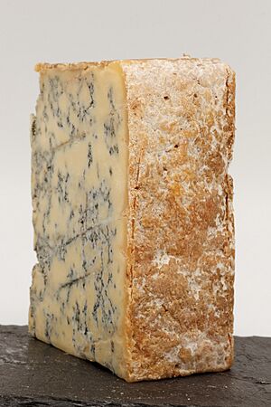 Blue Stilton 03