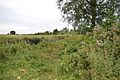 Brockwell Meadows 3