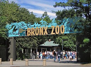 Bronx Zoo 001.jpg