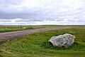BuffaloRubbingStone-PHS