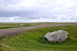 BuffaloRubbingStone-PHS