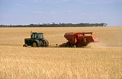 CSIRO ScienceImage 4026 Harvesting wheat near Blyth in the mid north of South Australia 1986