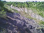 Rocky barren landscape with some trees in the background