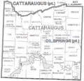 Cattaraugus County, New York Divisions