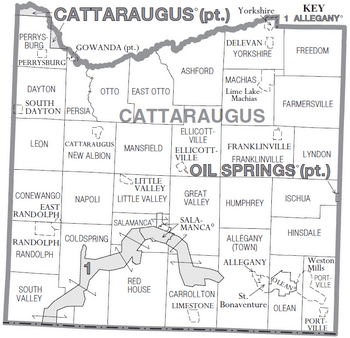 Cattaraugus County, New York Divisions