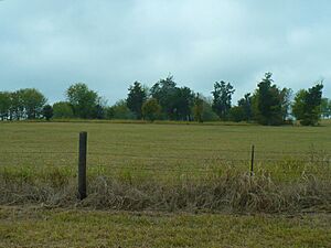Cedar Haven Plantation house site